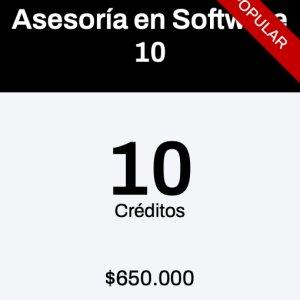 Asesoría en Software 10